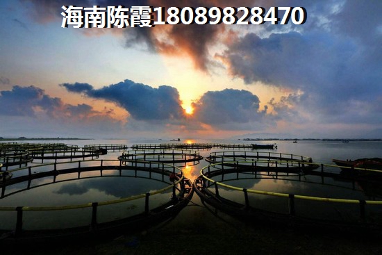 佛山顺德中集智谷3