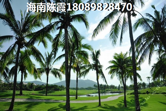 肇庆华阳嘉园 一居  户型图